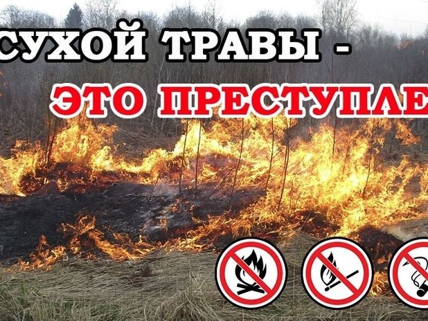 Пал травы — преступление!.